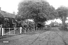 Rxx-82 Street View, Ewhurst Village, Sussex 1909. Photo