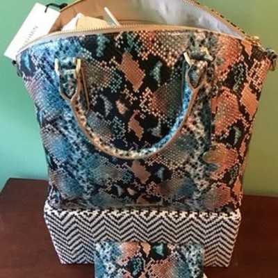 Brahmin Bailee Ocean Lilyana Tote Snake Print Leather Handbag Purse Tote Blues