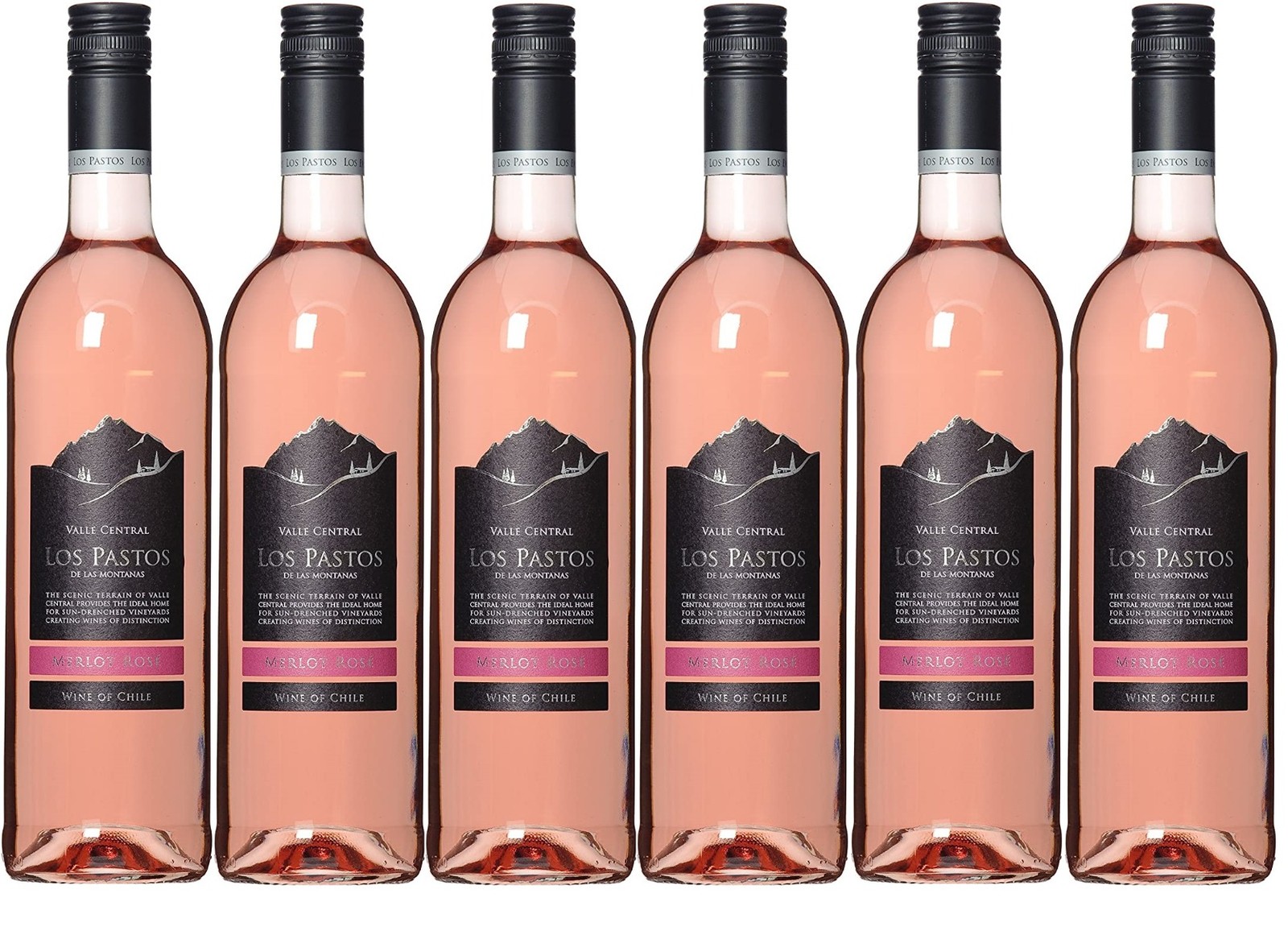 Los Pastos Merlot Rose Wine (6 x 750ml - 12.5%)