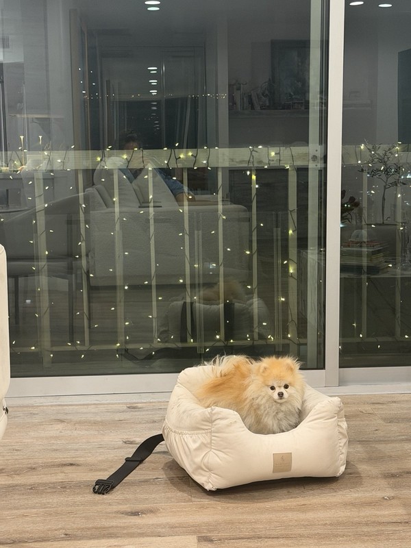Moncheri Dog Bed For The Car