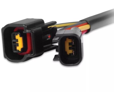 88813 MSD DIS-4 to Ford 4.6L Modular Harness