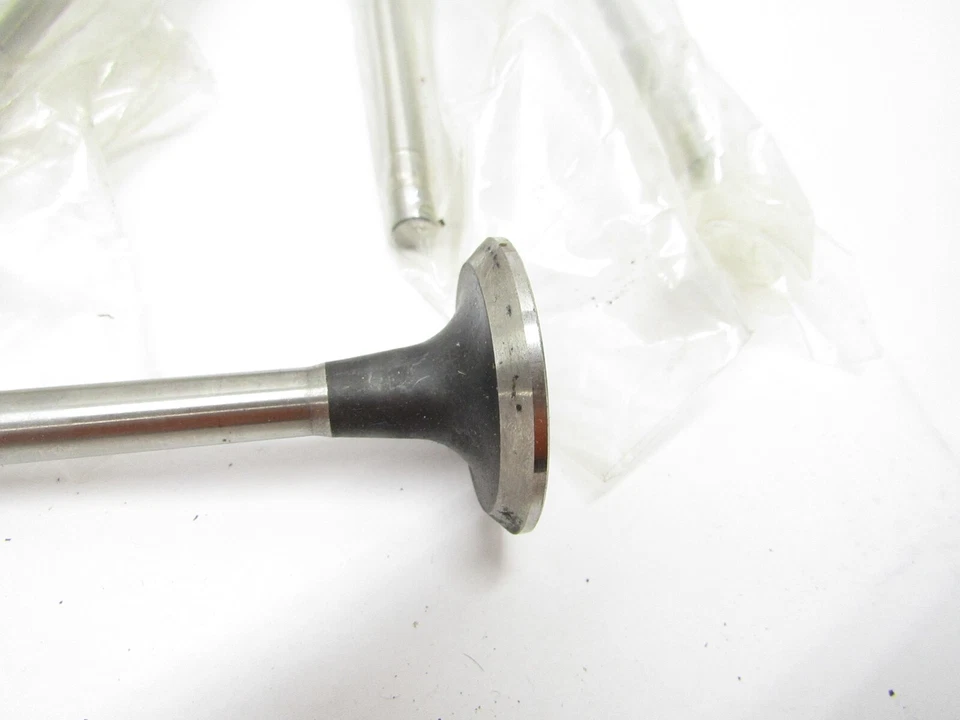 6 New ELGIN 1.5" Exhaust Valves 1955-1993 Sb Chevy E-1077 - Image 3 of 4