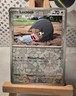 Lechonk #156/198 Common Scarlet & Violet Reverse Holo LP Pokemon TCG
