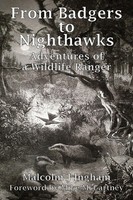 Malcolm J Ingham | From Badgers To Nighthawks | Taschenbuch | Englisch (2019)