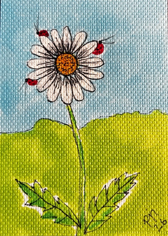 ACEO ‘A Daisy & Ladybugs’ Original Miniature Painting By Outsider PJR Flowers
