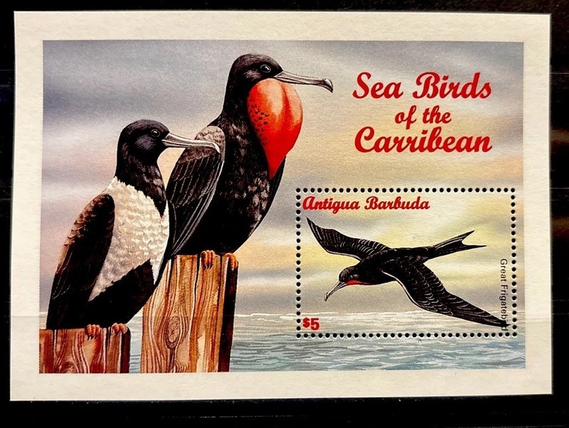 Antigua& Barbuda, frigate birdS.C.#1985 MNH , S/S of  1  Issued in 1996