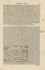 De Batavia quae hodie est Holandia. All Saints' Flood 1170 Holland. M�NSTER 1572