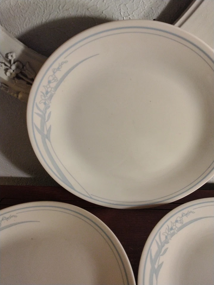 De colección. Juego de platos de cena Corelle Corning BLUE IRIS 10 pulgadas/3 púrpura y verde BONITO Foto 2 de 4