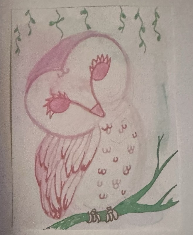 ACEO Hand-Drawn Owl & Bird Illustration Drawings on Paper, Cartoon Animal Nature