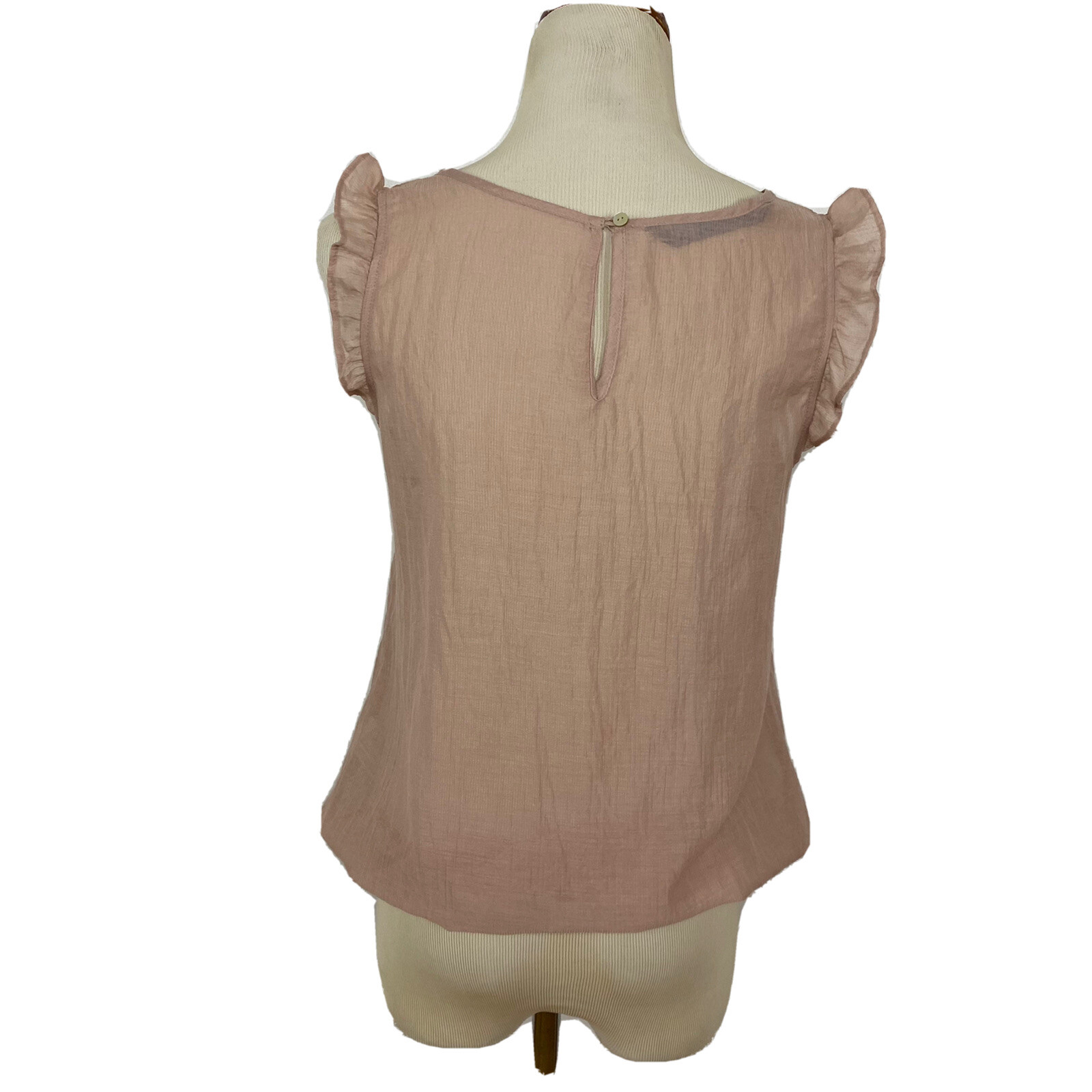 Zara Basic Small Sheer Ruffle Front Sheer Elastic… - image 5