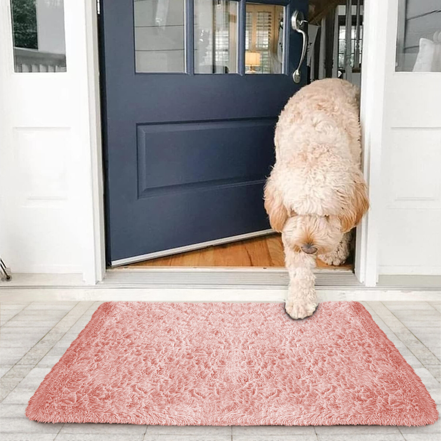 Non Slip Large Indoor Door Mat Entrance Rug Dirt Trapper Washable