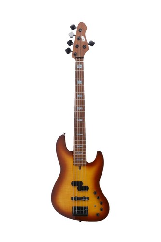 TUNE TWB-5 Birdeye Maple Top 5弦ベース Tune Twb-5 Birdeye Maple Top 5 | eBay