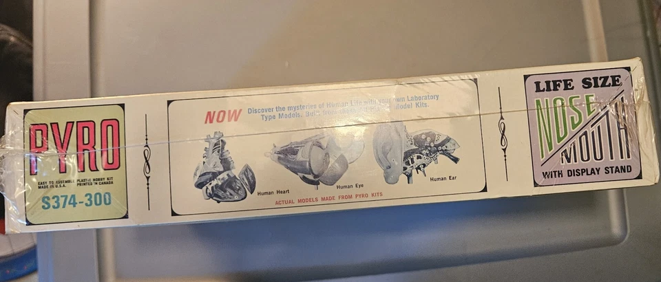 Vintage 1968 Pyro Nose Mouth Anatomy Life Size Model Kit Unassembled New In Box - Image 3 of 4