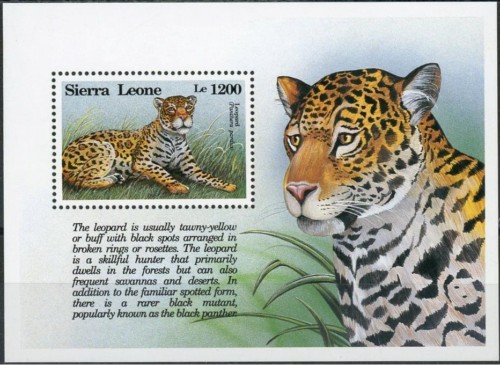 Sierra Leone 1993 Léopad, faune, nature, animaux, chats, conservation m/s MNH - Photo 1 sur 1