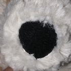 Bild 4 von 11