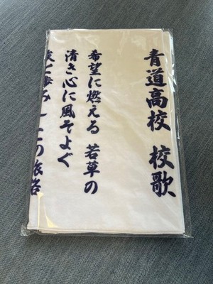 Ace of Diamond WEB Lotterie Seido High School School Song Towel