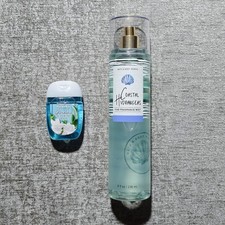 Bath Body Works COASTAL HYDRANGEAS Fragrance Mist Spray 8oz BONUS Discon.