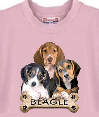 beagle t shirt india