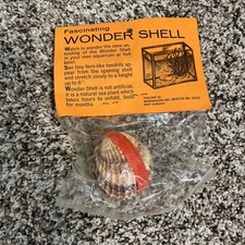 RARE VINTAGE WONDER SHELL NEVER BEEN OPENED FROM WEST GERMANY