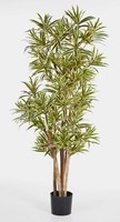 Artplants Deko Dracaena Reflexa Yasu, Gelb - GrüN, 120Cm