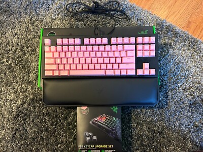 Razer BlackWidow TE Chroma v2 TKL Tenkeyless Mechanical Gaming Keyboard Custom