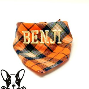 dog with neckerchief