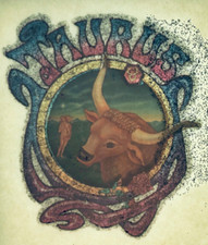 Vintage Taurus Horoscope Glitter Mini Iron On Transfer Astrology Zodiac
