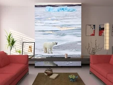 3D Polar Bear Ice K842 Animal Wallpaper Mural Self-adhesive Removable Kay