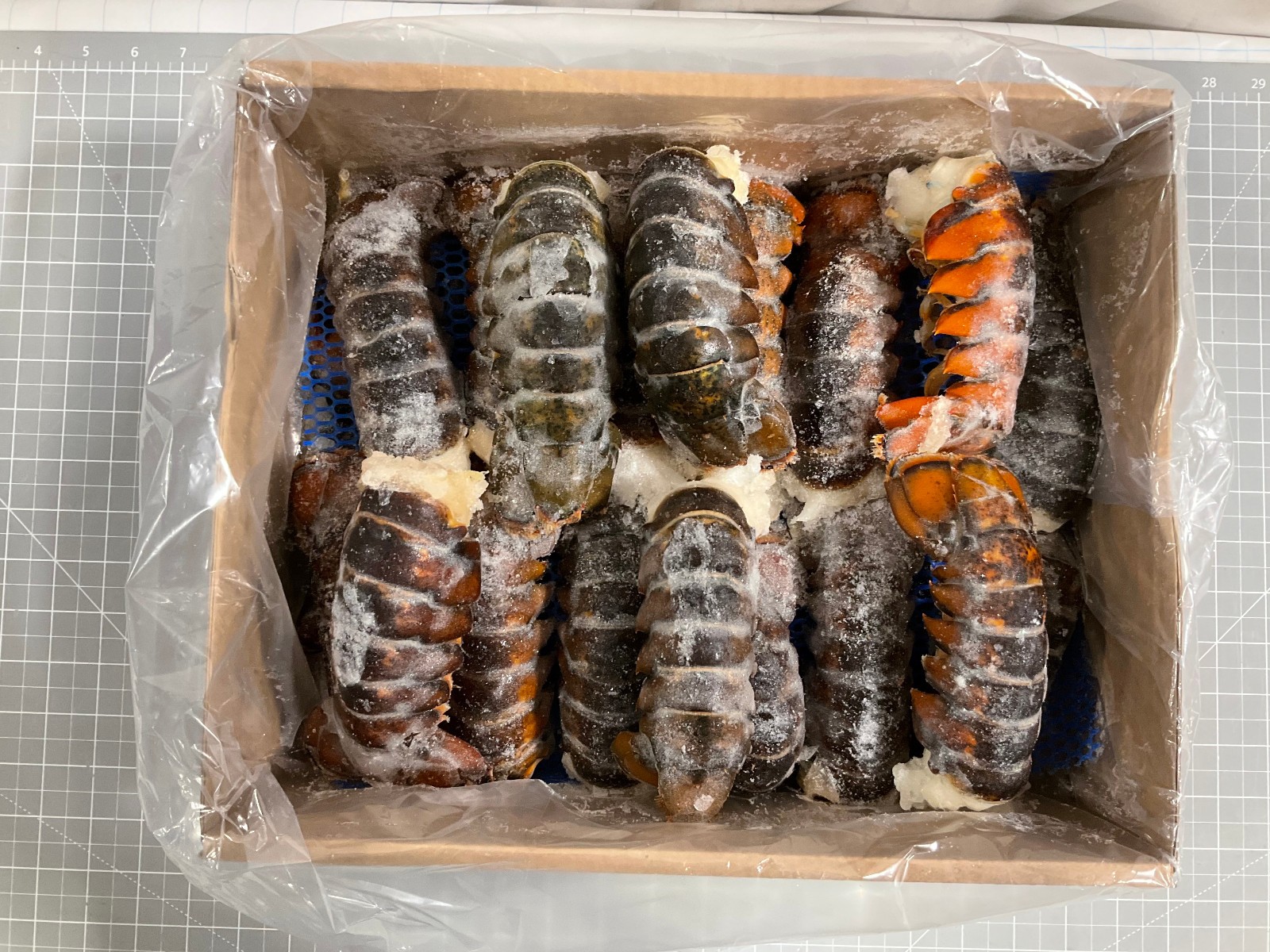 Pattern Loster Canadian Cold Water Lobster 4oz-5oz 6 Tails Fresh Flash Frozen Ocean ...