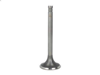 Inlet Valve PARADOWSCY PFEN01