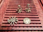 Vintage Order Of The Eastern Star Screw-back Earrings And Brooch Set — photo 2