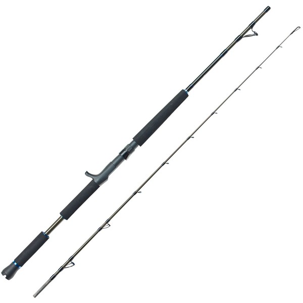 Eisele Bootsrute Thrill 2,1M 12-30Lbs FüR Multirolle - Meeresrute, Angelrute-image