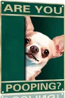 Chihuahua Vintage Tin Metal Signs- Are You Pooping Bathroom Funny Art Poster