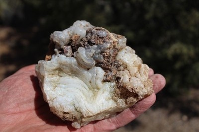 BEAUTIFUL - MINERAL - LUNA  AGATE - Catron County, New Mexico - WHOLE NICE!