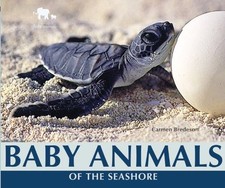 Baby Animals of the Seashore (Nature's Baby Animals) Baby Animals of the Seashore (Nature's Baby Animals)