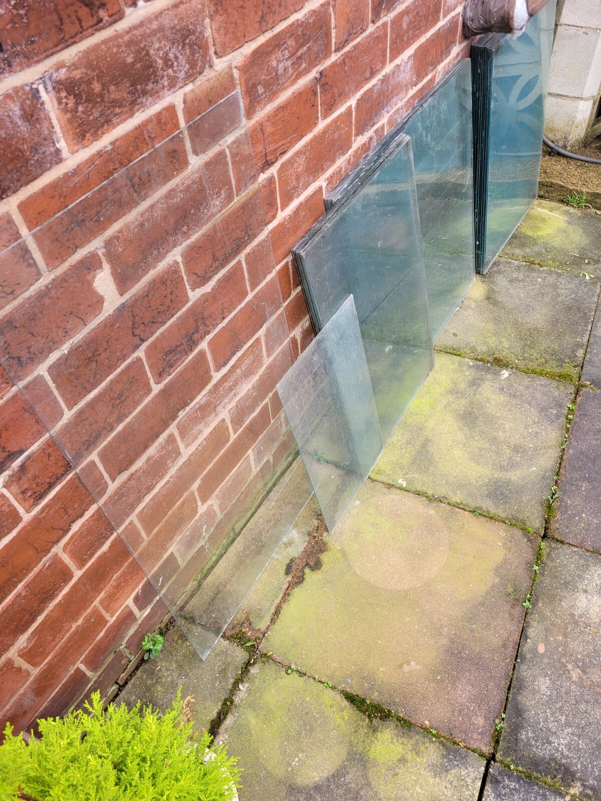 greenhouse glass eBay