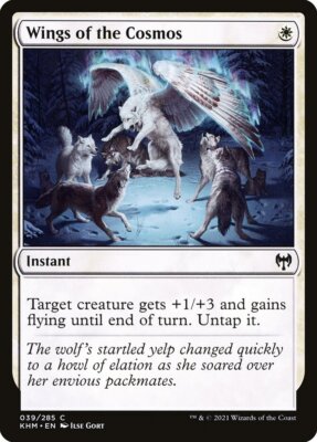 Wings of the Cosmos | #39 | KHM | MTG | Regular | LP