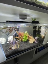 FISH TANK UNS