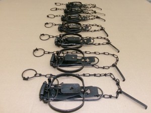 7) Victor No.1 Stop Loss Jump traps