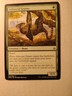 Arboreal Grazer (149/264) – War of the Spark – NM – MTG Magic the Gathering