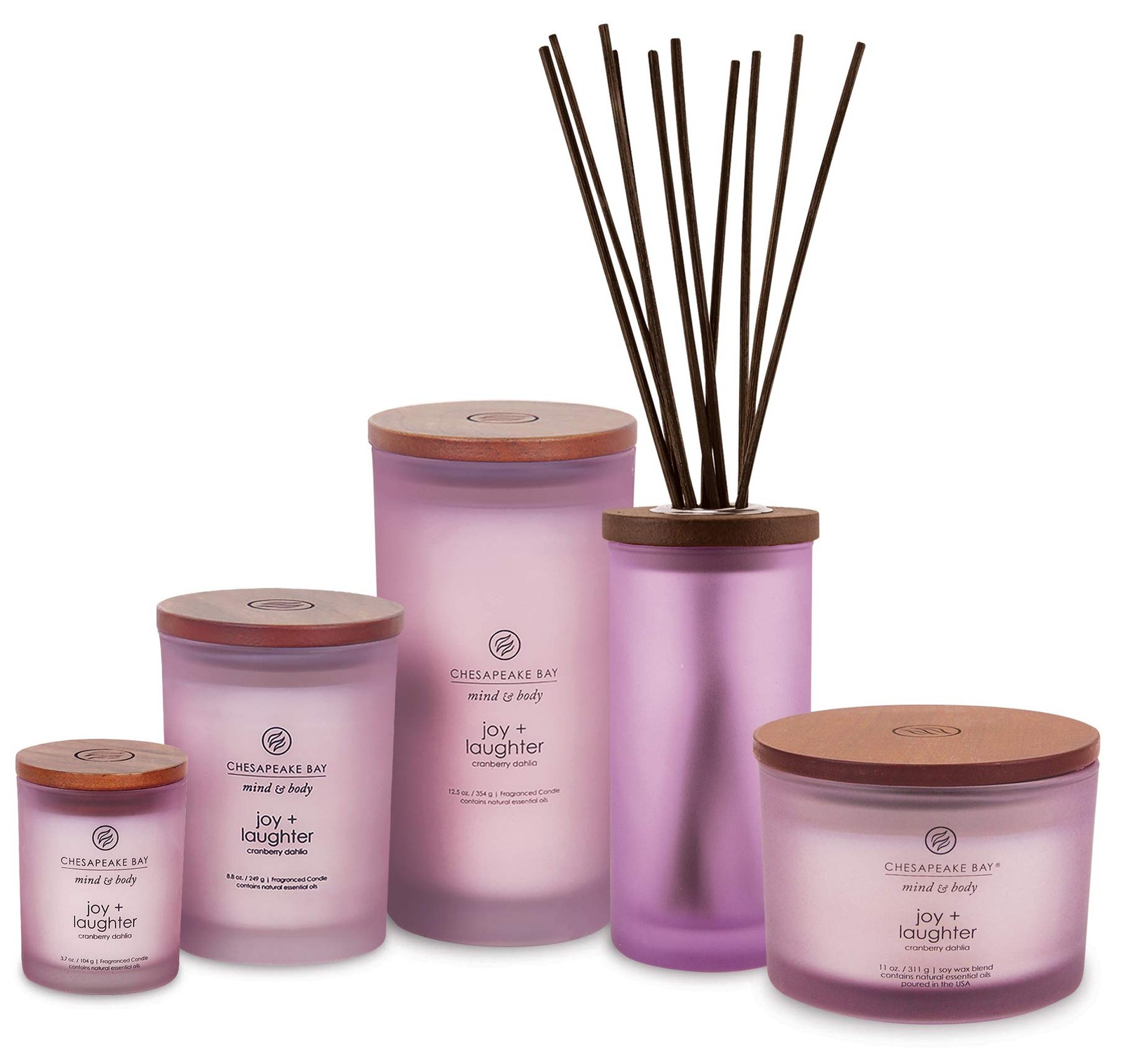 Chesapeake Bay Candle Scented Candle Joy + Laughter (Cranberry Dahlia) Medium Ho