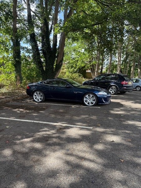 Image Placeholders2_edited.jpg