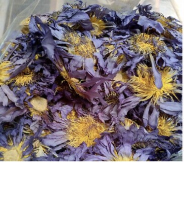 Blue Lotus (Nymphaea Caerulea) herbal tea - Bulk