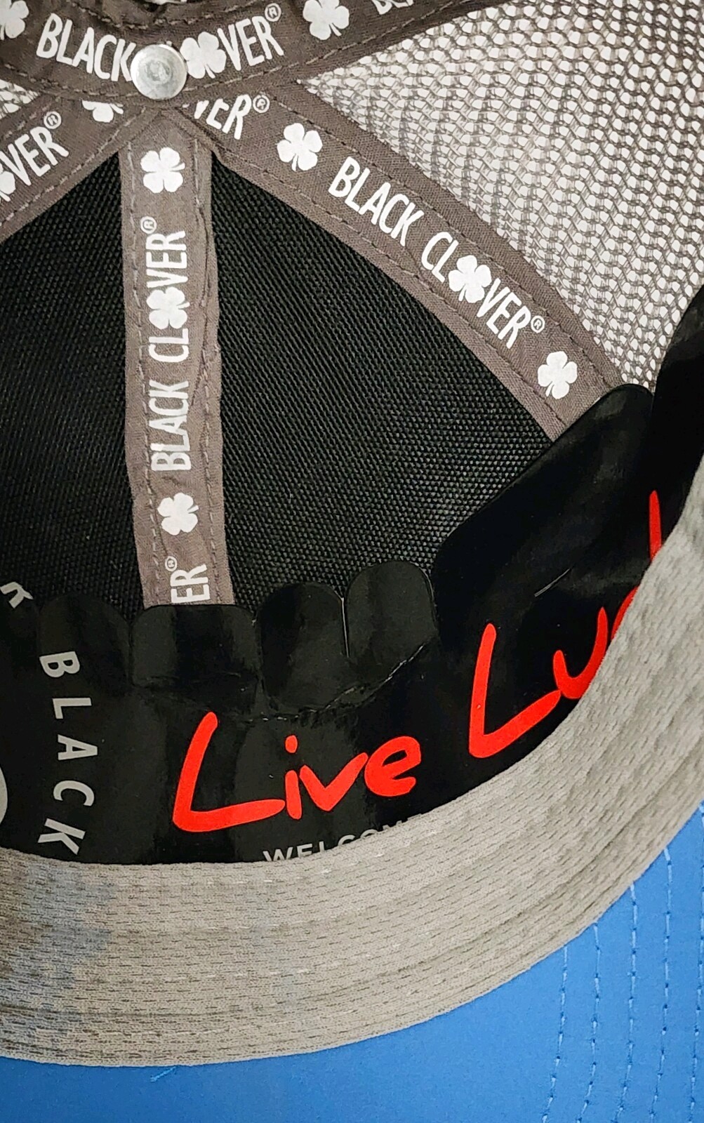 Picture 6 of 8