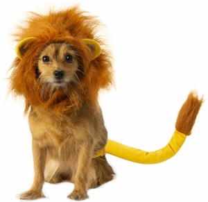 simba cat costume