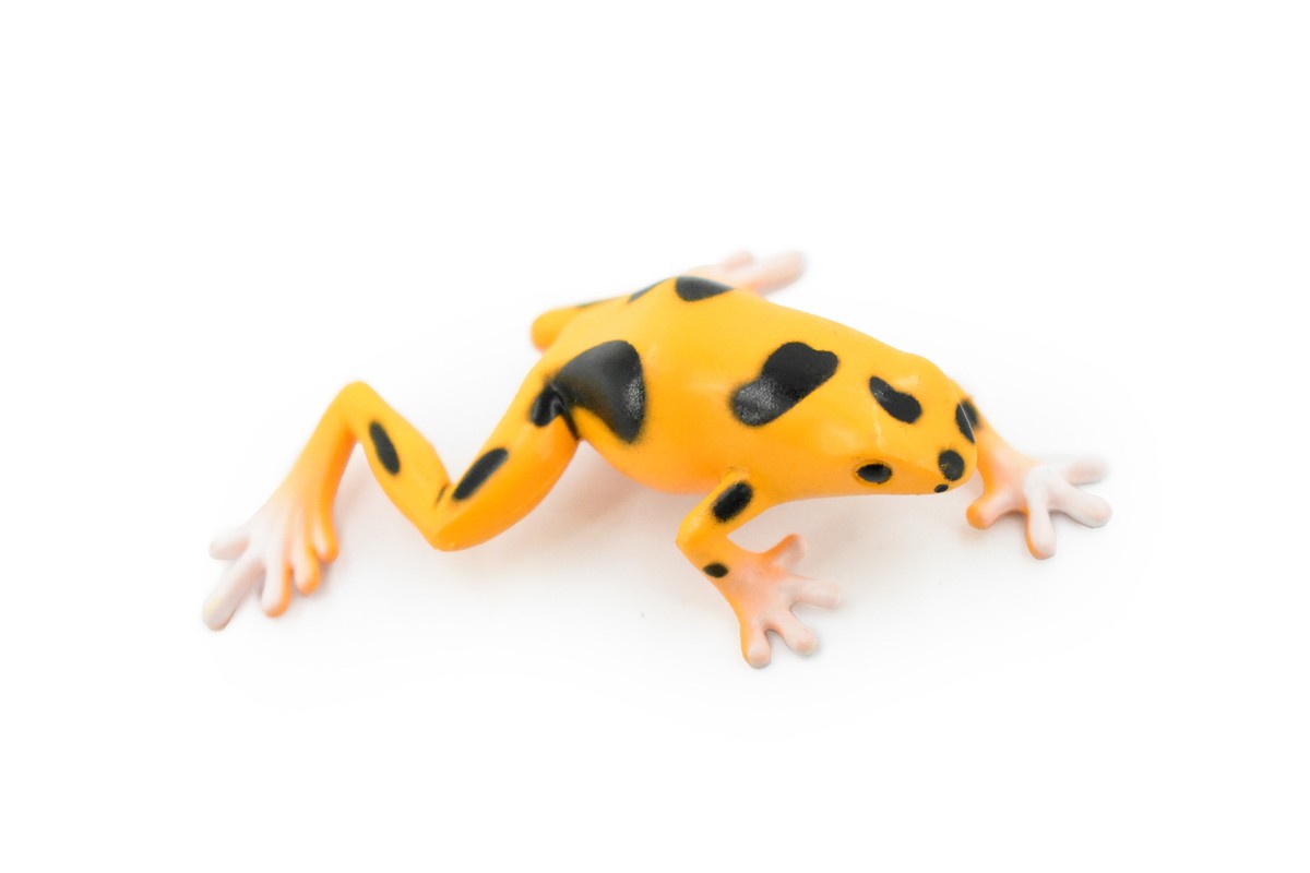 ロシアDAKO-plast　Amodel　英Frog 等　超レアモデル Frog, Poison Dart Frog Orange and Black Plastic Toy Realistic