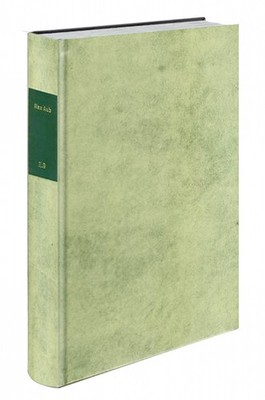 Das Magische Labyrinth, 6 Bde., Ld, Bd.5, Am Ende der Flucht: Aus d. Span.  ...
