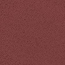 BMW Burgundy Leather Dye
