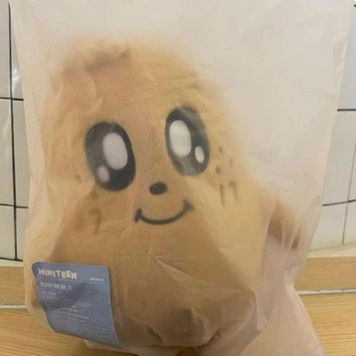 Mini Kim Ja Mingyu Plush Toy (SEVENTEEN) #QYFNFB