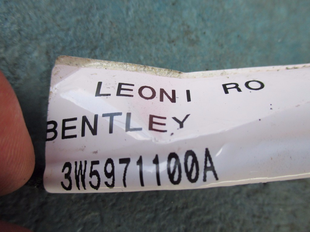 Bentley Continental Flying Spur roof wire harness loom plugs